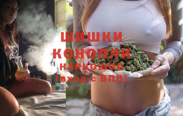 гидропоника Нязепетровск