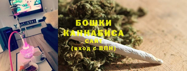 стафф Осташков