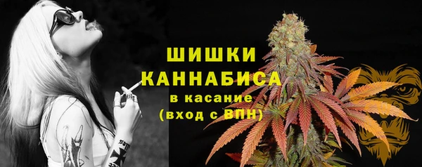 гидропоника Нязепетровск