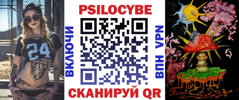 kraken как зайти  Почеп  Псилоцибиновые грибы Psilocybe 